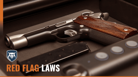 Red Flag Laws
